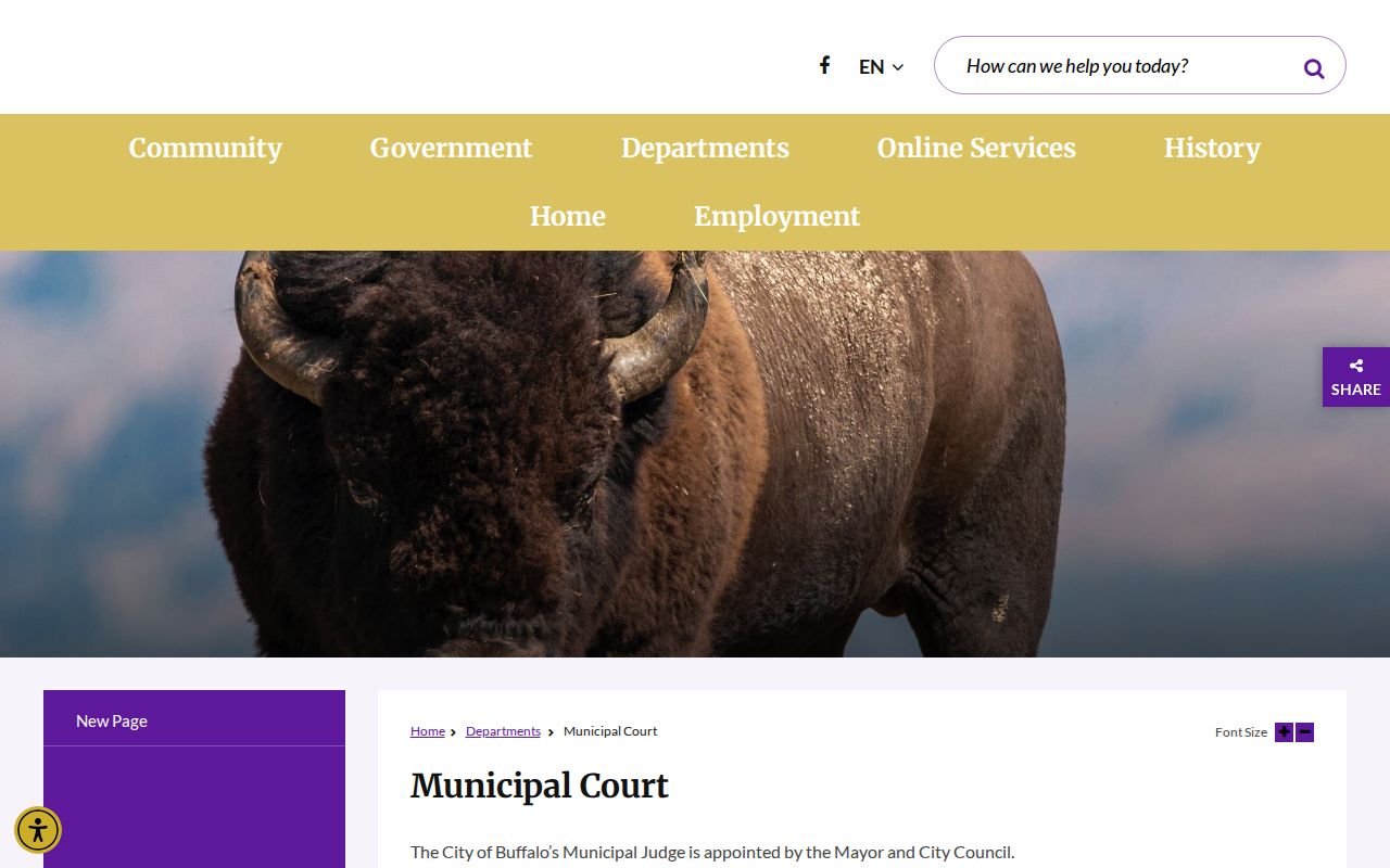 Buffalo criminal records through Buffalo Municipal Court